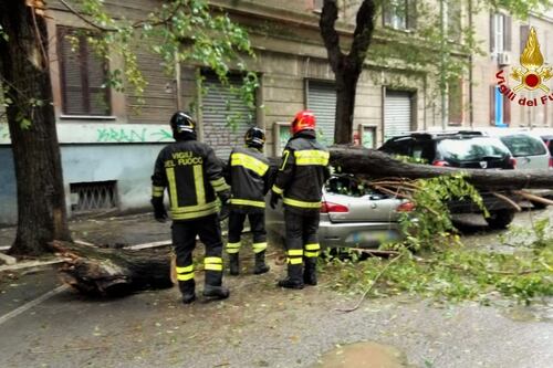 Alberi caduti e infiltrazioni. Il maltempo mette in ginocchio anche la Capitale