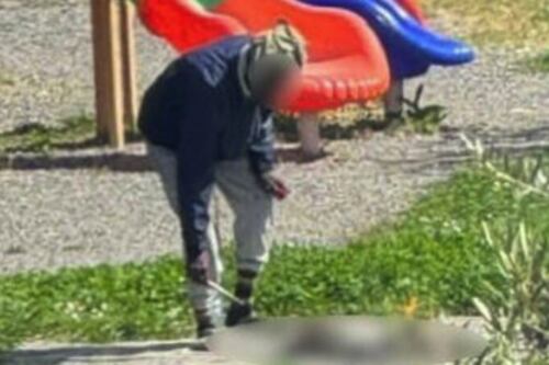 Gatto cucinato tra i giochi dei bambini, orrore nel parco
