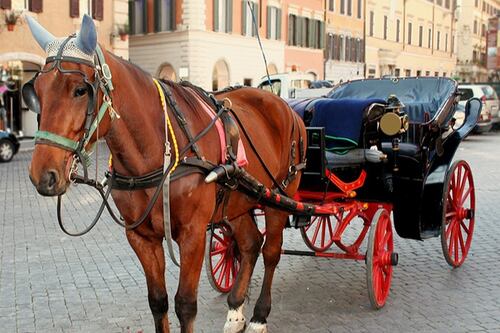 Botticelle vietate nelle città. Circoleranno solo nei parchi