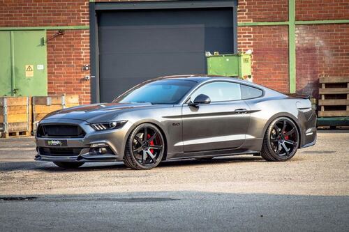 Mustang, cavalli di razza