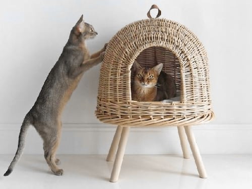 Case a prova di pet, arriva l'arredamento per animali