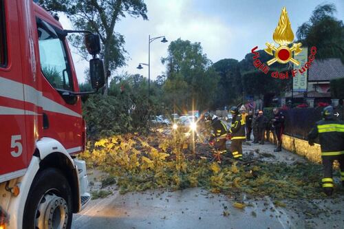 Albero travolge e uccide un uomo. A Napoli si muore così