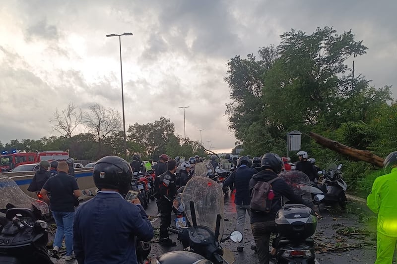 Roma, pioggia di alberi sulle strade e in tangenziale: bomba d'acqua e traffico in tilt