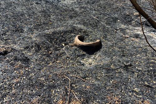 Degrado Capitale: l'incendio svela la discarica abusiva nel parco a San Basilio