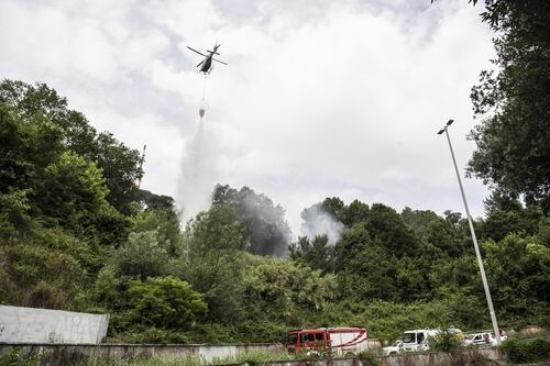 Monte Mario, Roma Natura: "Stesse cause del rogo 2024. Mancata manutenzione"