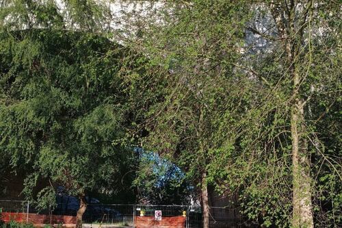 Ponte Milvio, altro affaccio sul Tevere "vittima" della piena. Va smantellata la pedana