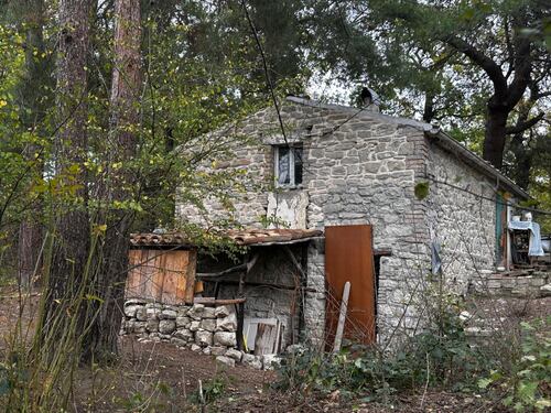 Famiglia nel bosco, Meloni e Nordio valutano l'invio di ispettori