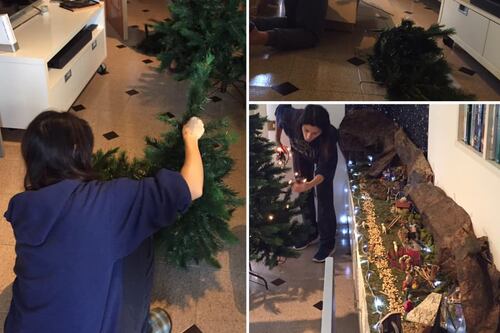 Natale in casa Raggi. Così la sindaca addobba "Spelacchietto"