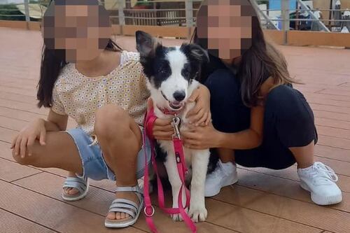 Sorelline ritrovate, è una storia di "amore genitoriale malato". Cosa emerge dalle indagini