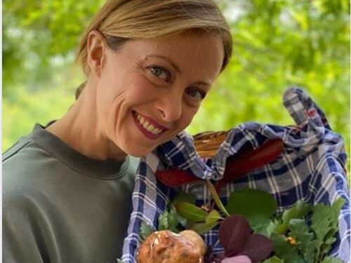 Momento d'oro per i funghi nel centro Italia. E Giorgia Meloni ne aprofitta