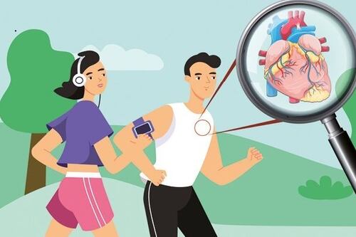 L'Istituto Nazionale per le Ricerche Cardiovascolari lancia "Cardiozoom"
