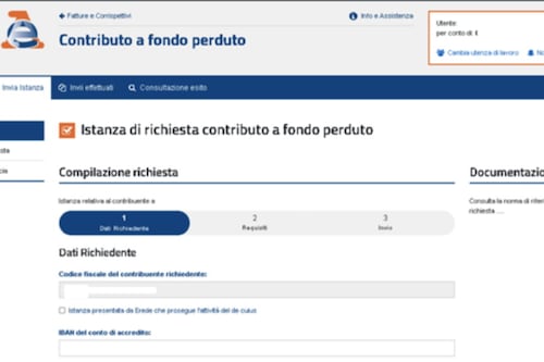 Contributi a fondo perduto, ecco i chiarimenti dell'Agenzia delle entrate per fare domanda