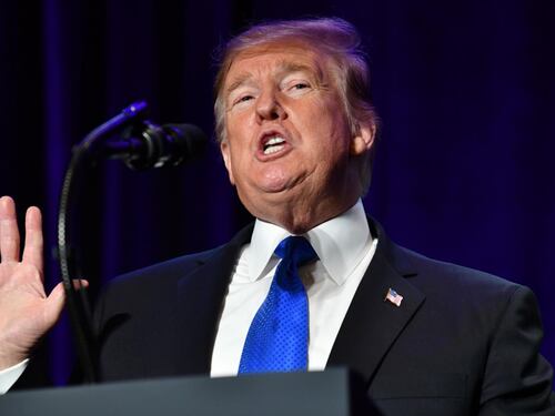 Trump avverte l'Ue: "Prendetevi 800 combattenti Isis catturati o li liberiamo"