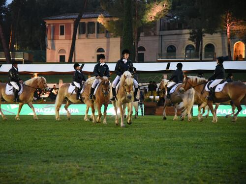 Cavalli, magia e integrazione