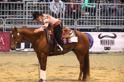 Cavalli a Roma punta i riflettori sul meglio delle razze equine