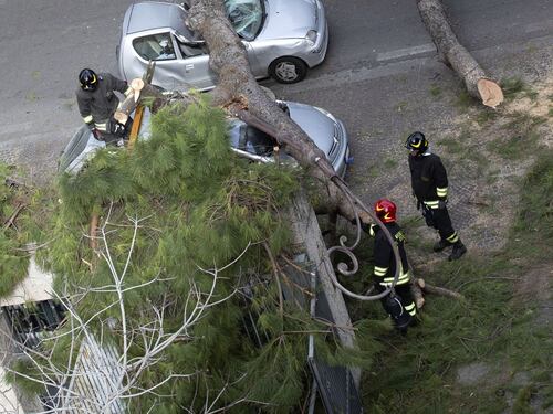 Crolla pino di 30 metri e centra le auto: due feriti gravi