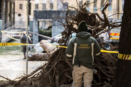 Raggi: i fondi per tagliare gli alberi li chiederemo al governo