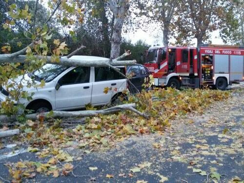 Roma, albero crolla sulle auto in corsa sulla via del Mare