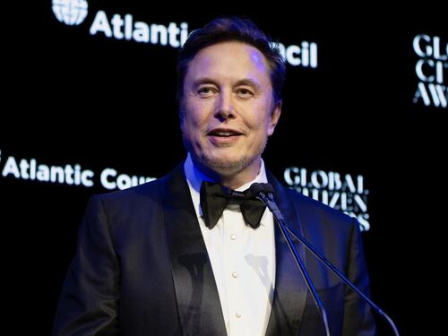 I rosiconi di Elon Musk, il Pd perde la testa: "Drogato e...". E lui li denuncia