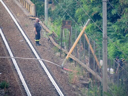 Il treno Roma-Viterbo investe una mucca e deraglia