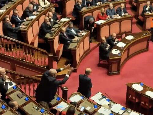 Bagarre al Senato, crisi di nervi del grillino. Meloni: "Siete in difficoltà"
