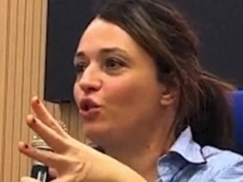 Carmen Consoli stecca all'università. "Insulta Meloni per il suo aspetto"