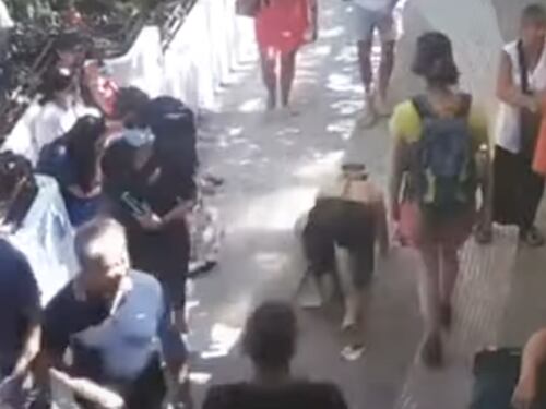 Uomo-cane a guinzaglio, il video del gioco erotico tra i turisti a Positano