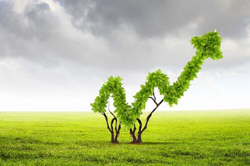 L’equity crowdfunding fa bene all’ambiente