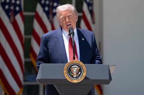 Ucraina, tregua con la Russia la festa della Vittoria. Trump: "Che sia l'inizio della pace"