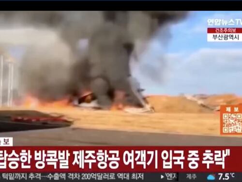 Corea del Sud, aereo si schianta durante l’atterraggio ed esplode. 179 morti, 2 salvi
