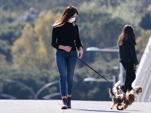 Mascherine e museruole, la rivincita dei cani sui padroni