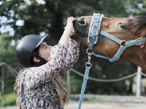 Salvati dal macello, così i cavalli ribelli diventano sereni