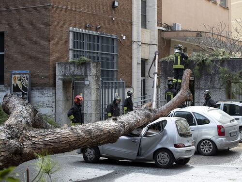 Sette indagati per il crollo dell'albero di viale Mazzini: disastro colposo e lesioni gravissime