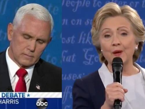 Pure la mosca contro Trump. Il presagio nefasto nel dibattito Harris-Pence