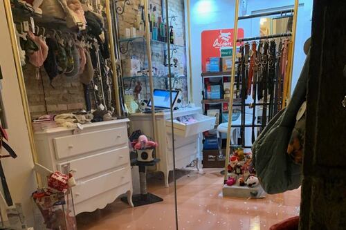 Sampietrino contro la vetrina, furto alla boutique degli animali