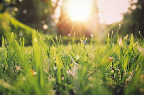 Meteo, la sorpresa del fine settimana: "Svolta primaverile". Ecco dove