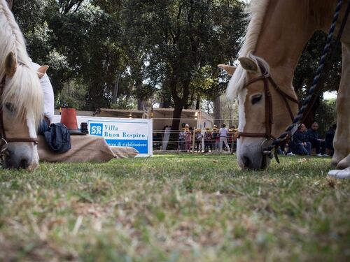 Il Carosello di Villa Buon Respiro, successo della riabilitazione equestre