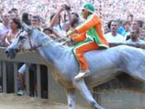 La Selva vince il Palio saraceno Il trionfo spegne le polemiche