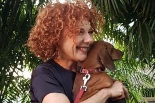 Ecco i segreti per andare in ferie con cani e gatti