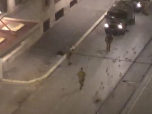 La guerra di Capodanno fa strage di storni. I video choc tra Termini e Cavour