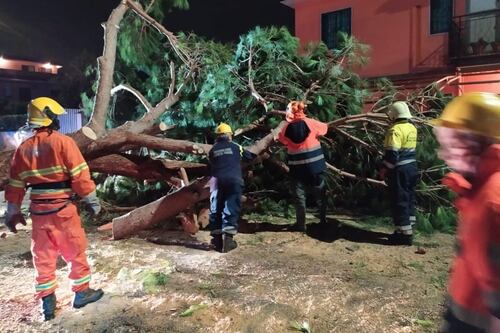 Pioggia e vento mettono in ginocchio l'Italia. Allerta rossa in Liguria, Piemonte e Calabria