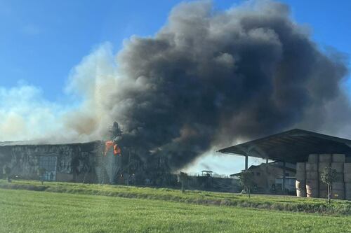 Roma, incendio sulla Roma-Civitavecchia. Cosa prende fuoco