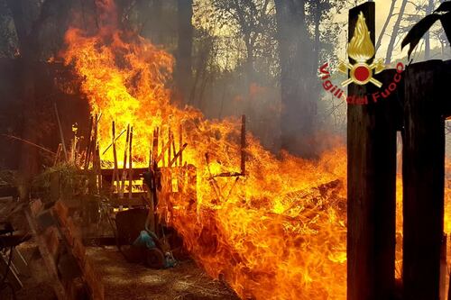 Roma brucia da Monte Mario al litorale. Tutti contro la Raggi: verde senza manutenzione