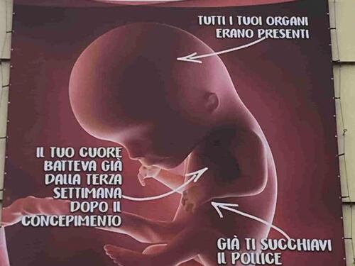 Pillola abortiva senza ricovero, rivolta di Meloni e Pro Vita
