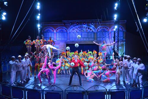 Tendoni chiusi, un Natale senza circo