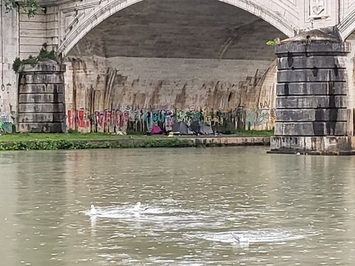 Roma, sale il livello del Tevere. Chiuse le banchine sul fiume