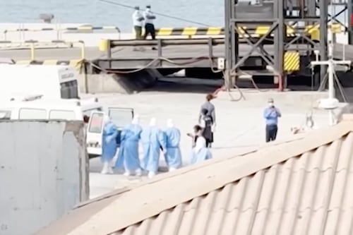 Hantavirus, 3 passeggeri evacuati dalla nave da crociera e trasportati in aereo nei Paesi Bassi