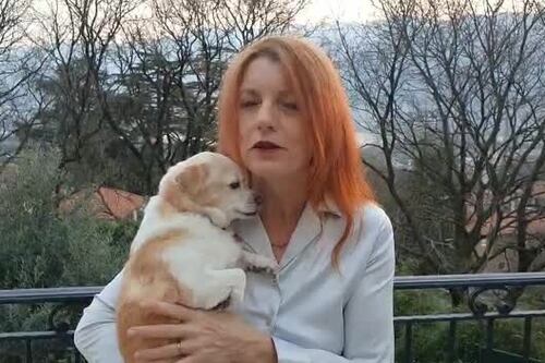 Coronavirus e animali, ecco la verità. Michela Vittoria Brambilla: non li abbandonate
