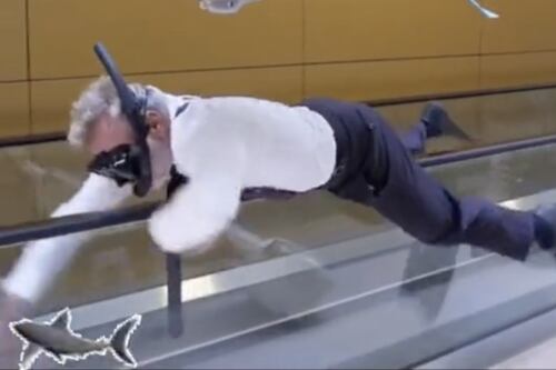 Gianluca Vacchi si tuffa nel mare di Milano. Folle nuotata in aeroporto